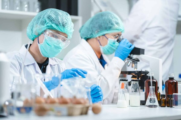 Consultant en audit agro-alimentaire : il peut aider pour obtenir l'IFS Food